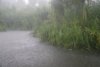 Yellow Waters sous la pluie