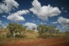 le long de la stuart highway