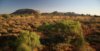 Les monts olga