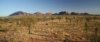 Les monts olga