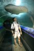Oceanworld